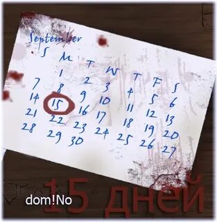 15 дней назад