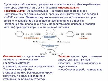 Тирозин биологическая роль