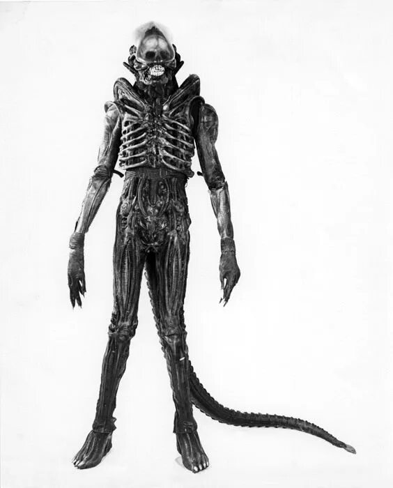It is a alien