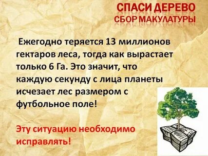 1 кг бумаги