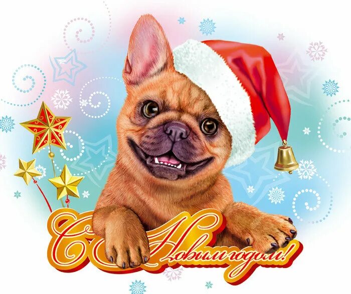 Новогодние собачки. Новогодние открытки 2023 с собакой. Открытка с новым годом 2024 с собакой. Собачка новогодний для детей. Новогодняя открытка с бульдогом.