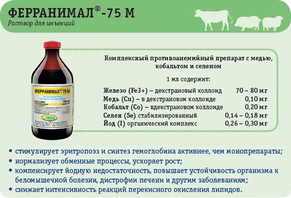 Именем какой королевы назван защитный ветеринарный