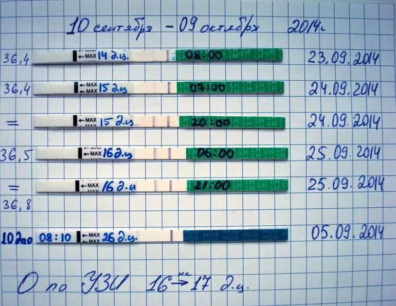 Овуляция сколько должно быть. Тест на овуляцию и беременность. Тест после овуляции. Тесты определяющие овуляцию. Тест на овуляцию при беременности.