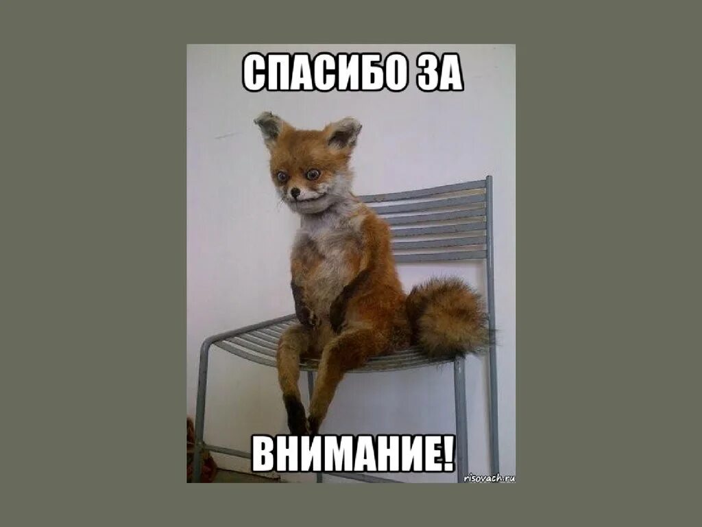 Упорото значение