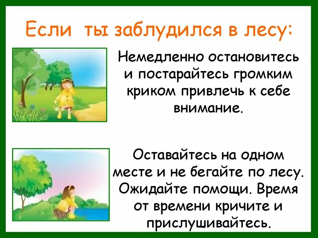Какие опасности могут встретиться в лесу. Если заблудился в лесу. если заблудился в лесу 2 класс. опасности в лесу презентация. если ты потерялся в лесу 2 класс.