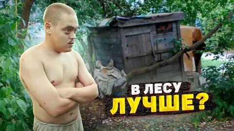 Вася в лесу