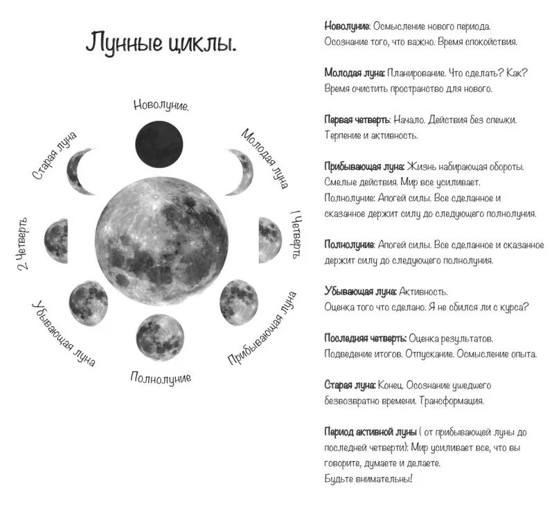 Сколько длится 1 луна. Схема фаз лунного цикла. Циклы Луны схема. Циклы Луны по дням схема. Схема новолуния и полнолуния.