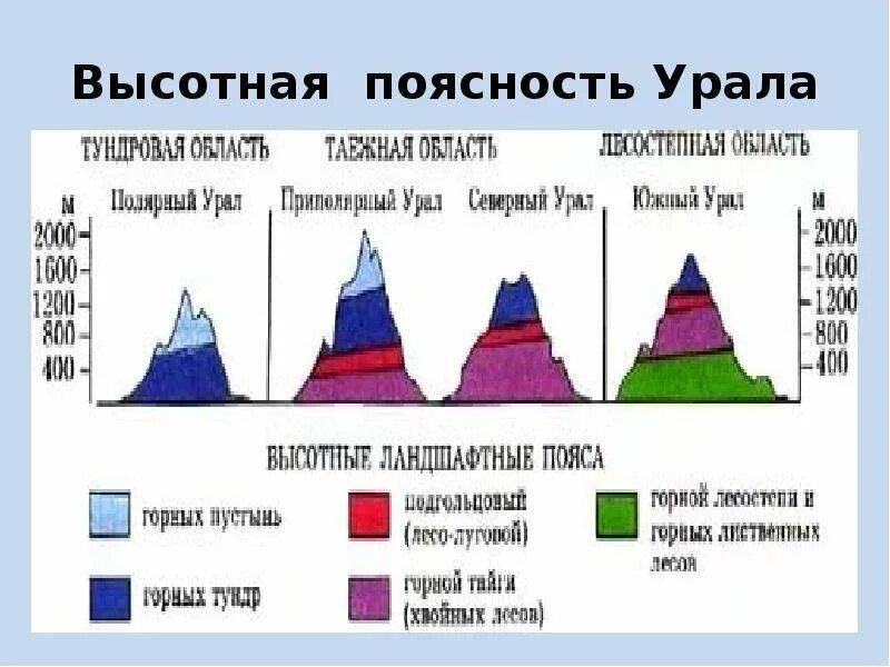 Высотная поясность урала и кавказа. Высотная поясность Южного Урала. Высотная поясность Кавказа 8 класс география. Высотная поясность в горах Кавказа и Урала. Высотная поясность в горах Урала.