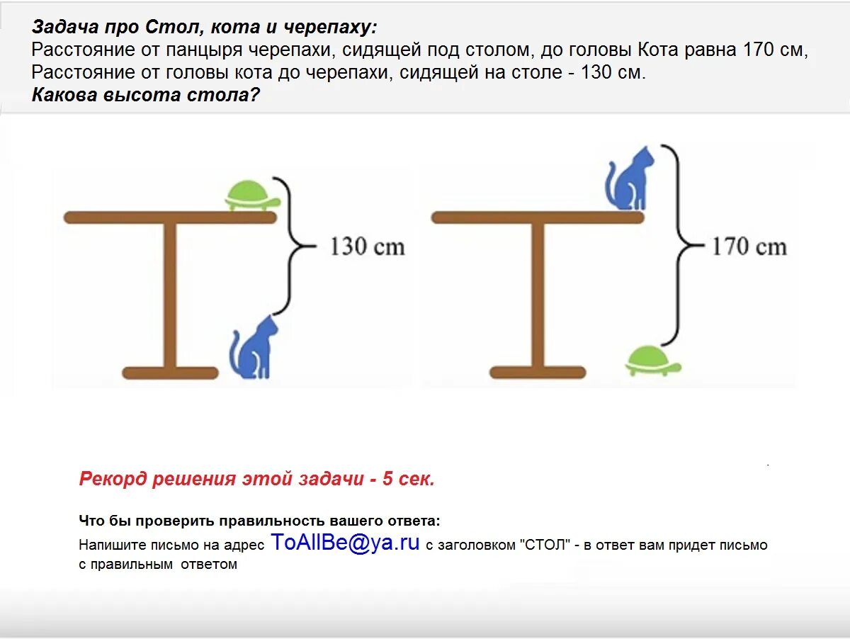 Задача высота стола. Задача про кота и черепаху. Задача про стол кота и черепаху решение. Задача про кошку и черепаху на столе. Задача про кошку и черепаху на столе решение задачи.