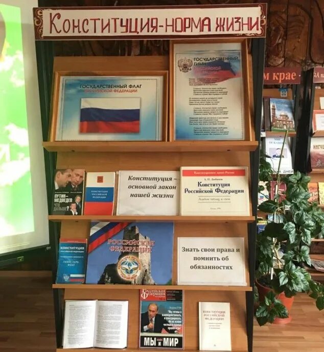 книжная выставка ко дню конституции в библиотеке. день конституции заголовок для выставки. книжная выставка день конституции рф. конституция названия мероприятий в библиотеке. конституция названия мероприятий в библиотеке.