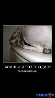 Как не бояться спать одному