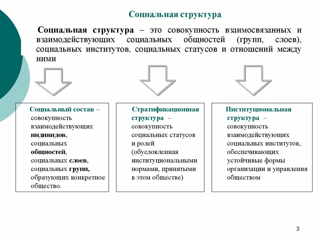 Социальная структура общества статусы и роли