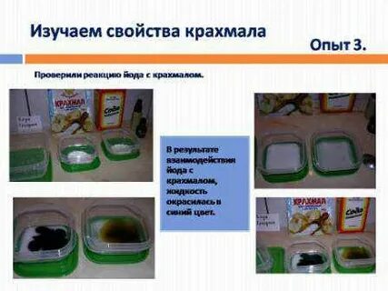 Есть ли в луке крахмал опыт