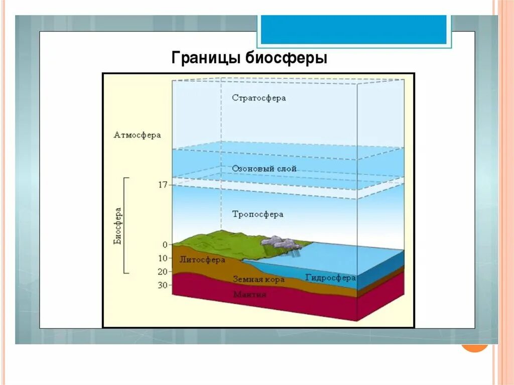 Какая оболочка земли полностью входит в биосферу. Литосфера атмосфера гидросфера Биосфера стратосфера. Границы биосферы атмосфера гидросфера литосфера. Границы биосферы литосферы гидросферы. Биосфера гидросфера атмосфера литосфера схема.