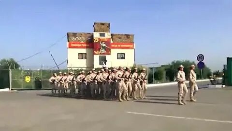 31 31 текущее видео