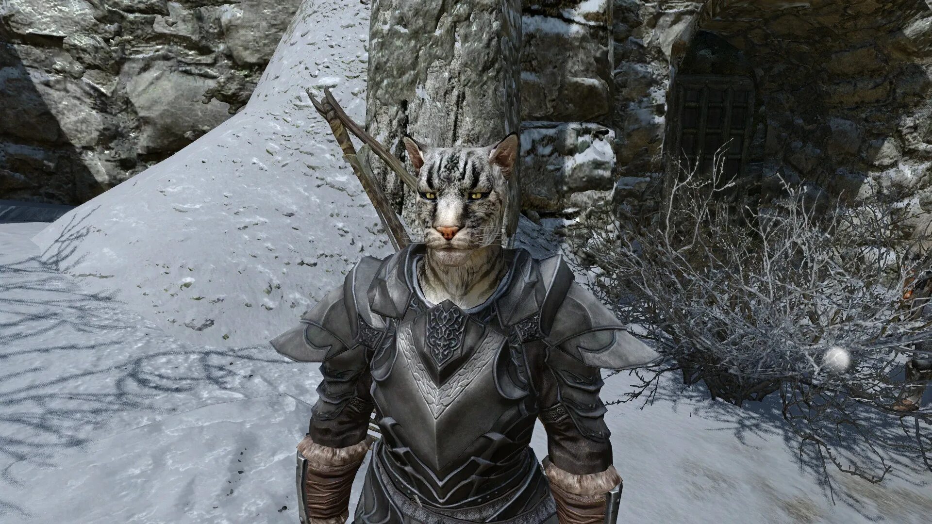 Skyrim моды довакин