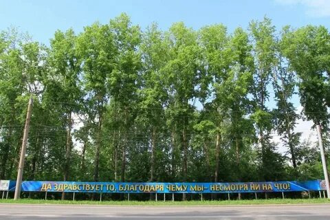 Вид благодаря тому что