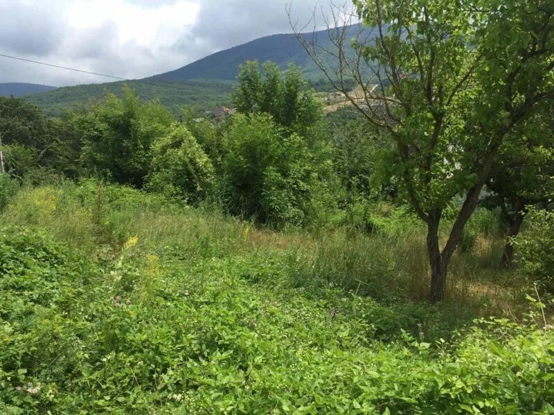 Глебовское Новороссийск. Село Глебовское Краснодарский край. СНТ Лесная Поляна Новороссийск. СНТ Рыбак Новороссийск. Морское куплю участок