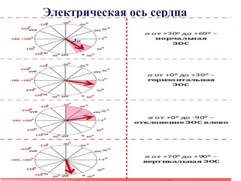 Синусовый ритм вертикальное положение оси сердца. Электрическая ось сердца. электрическая ось сердца у детей. нормальная электрическая ось сердца. 8. электрическая ось сердца.