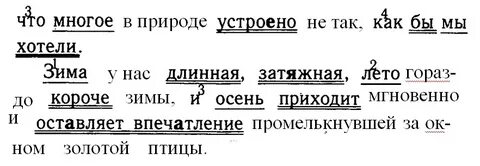 Лето гораздо короче зимы