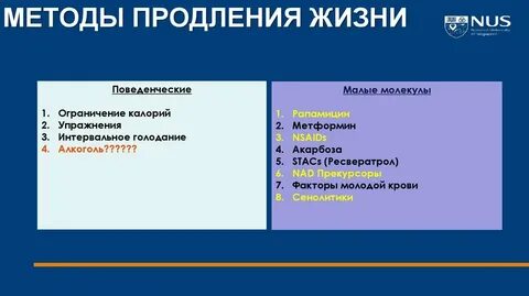 Что продляет жизнь человека