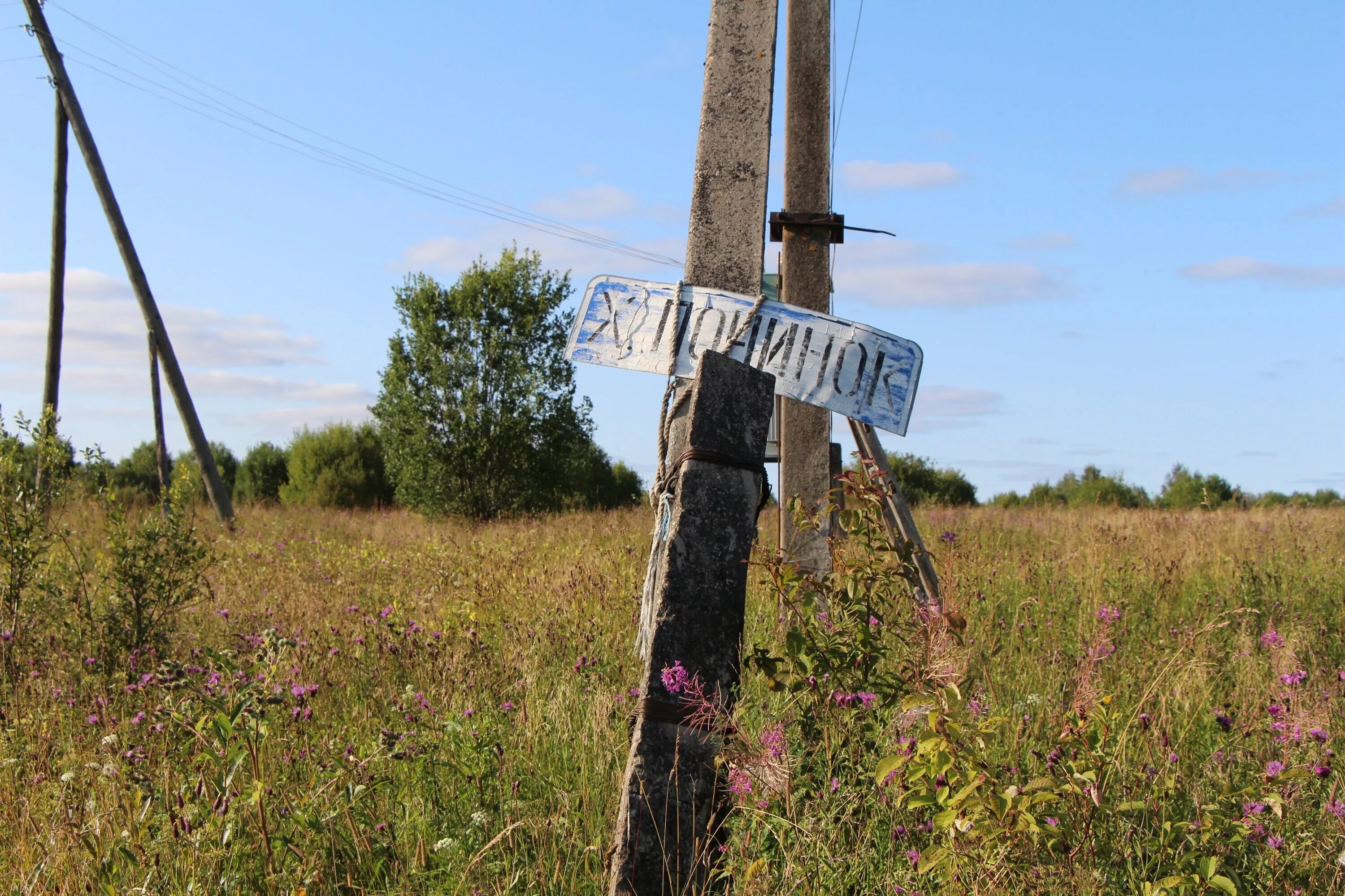 харитонов починок костромская область. вымирающие деревни костромской области. костромская область кадыйский район деревня васильевская. костромская область галичский район деревня соцевино. починки костромская область.