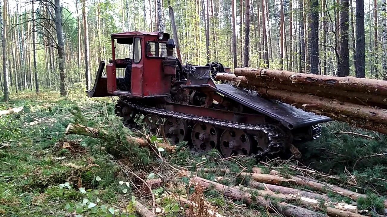 Нужно вывести из леса 35 бревен трактор. ТДТ-55а трактор трелевочный. ТТ-4 трактор трелевочный. Трактор трелевочник ТДТ 55. Трактор ТДТ 55 на трелевке.