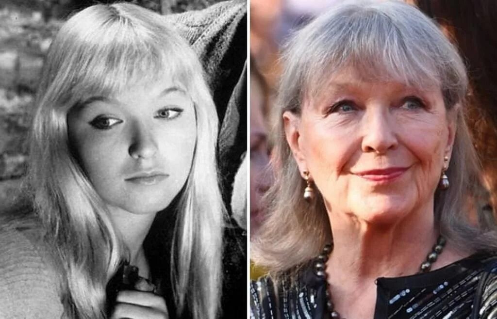 Где влади живет. Квартира марины влади в париже. Где влади живет. Где влади живет. Где влади живет.