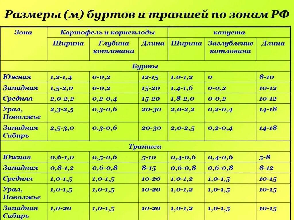 Температура хранения фруктов. Условия хранения картофеля и корнеплодов. Влажность при хранении картофеля. Температура хранения картофеля. Температура хранения картошки в хранилище.