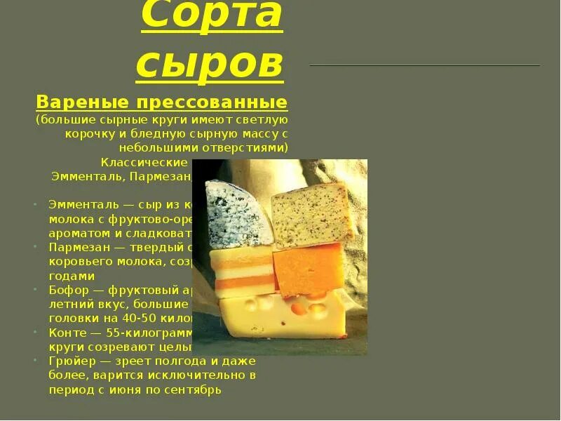 Название сыров. Твердые сыры названия. Твёрдые сыры сорта. Твердые сорта сыра.