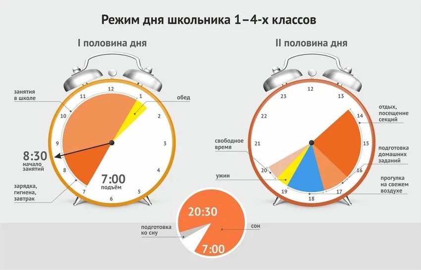 Распорядок дня. Распорядок для в виде часов. Правильное распределение режима дня. Распорядок дня схема.