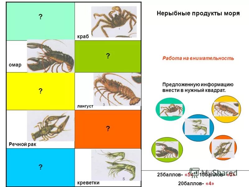 Кроссворд на тему рыбы и нерыбных продуктов моря. Кроссворд на тему нерыбные продукты моря. Нерыбные продукты. Кроссворд на тему морские нерыбные продукты. Работа на крабе