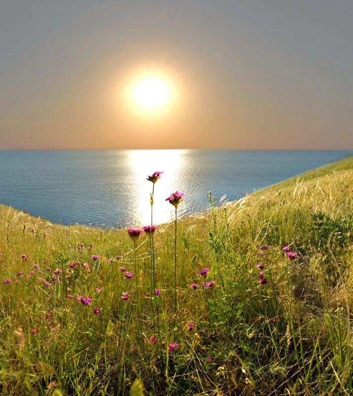 шоколад цветы кофе. утра дня пожелания. кофе и шоколад. просто утро просто лето. доброе июньское летнее утро.