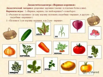 Овощи конспект урока 1 класс