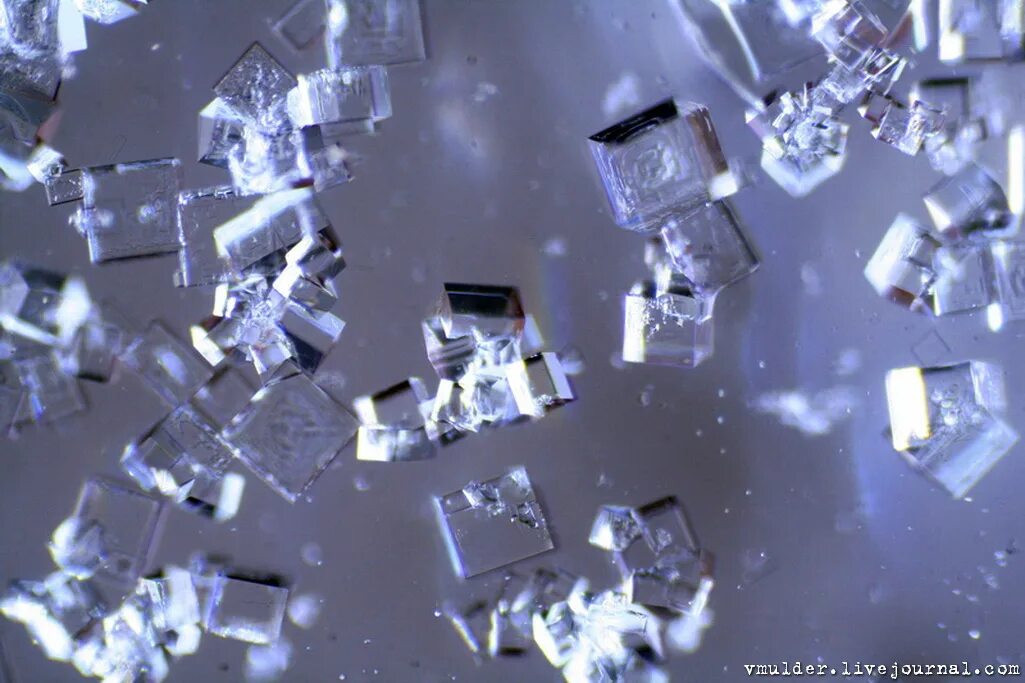 Кристаллы под микроскопом. Кристаллы под микроскопом. Crystal под. Мир под микроскопом. Нематические жидкие кристаллы под микроскопом.