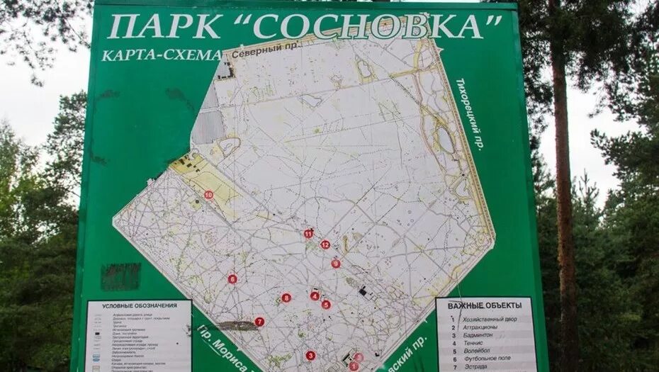 Адрес сосновки. Адрес сосновки. План лесопарка сосновка спб. План лесопарка сосновка спб. Адрес сосновки.