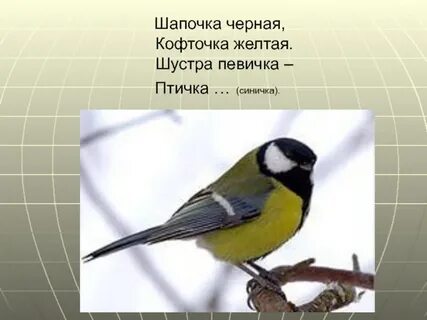 Птицы рифма