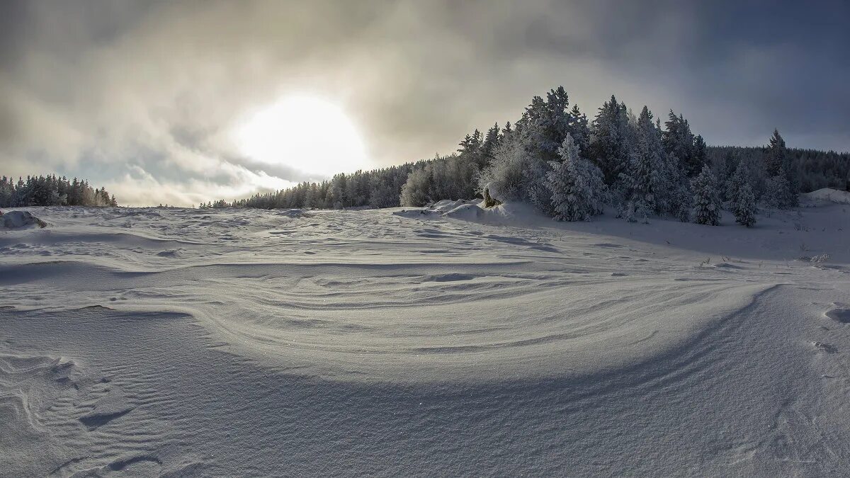 Стужа википедия. Зимняя стужа. Ст уда. Зима стужа. Стужа зимой.