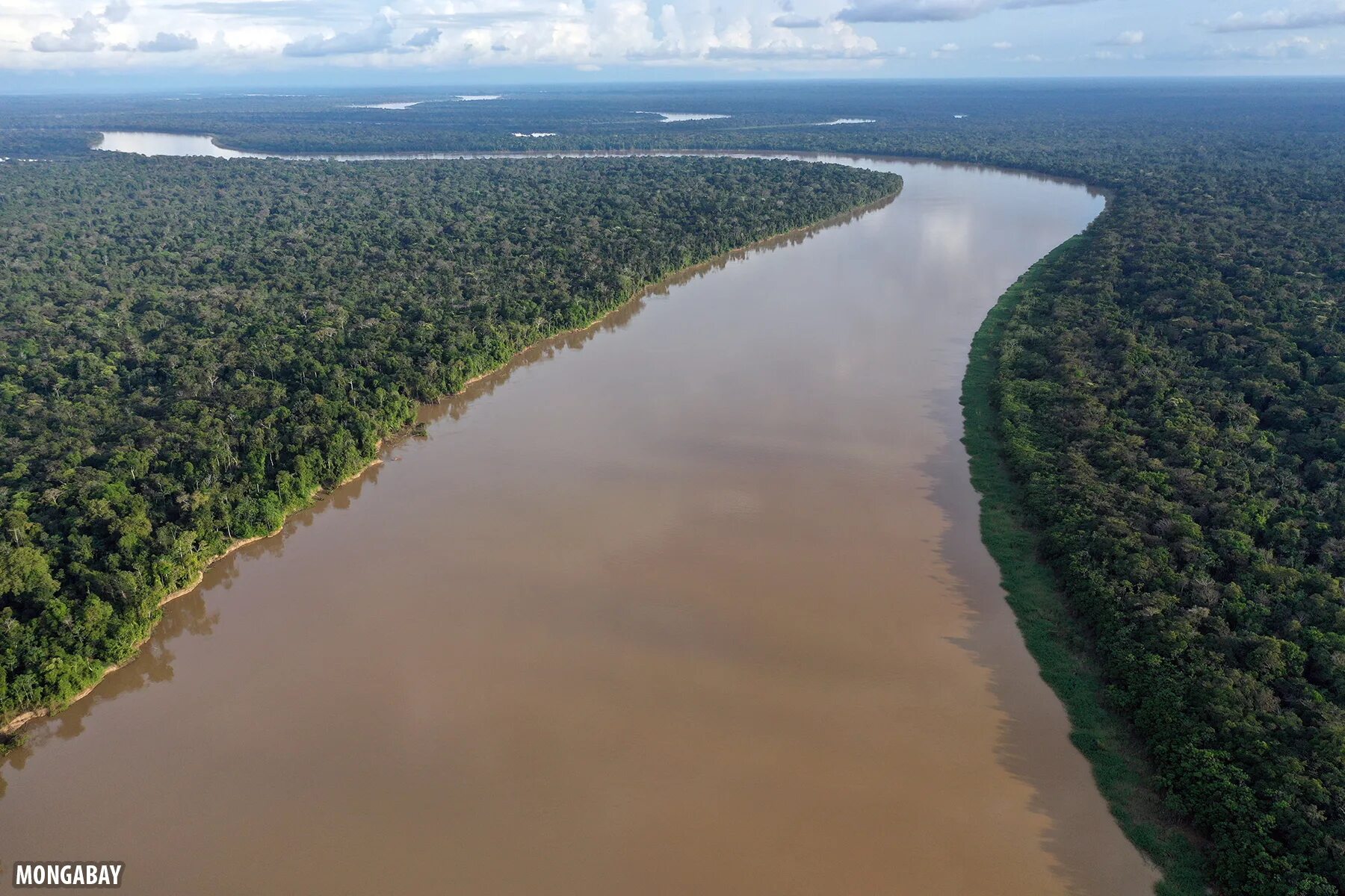 Амазонка полноводна круглый год. Амазония река Амазонка. Амазонка река Укаяли. Амазонка Укаяли Мараньон. Конго река Ориноко река.