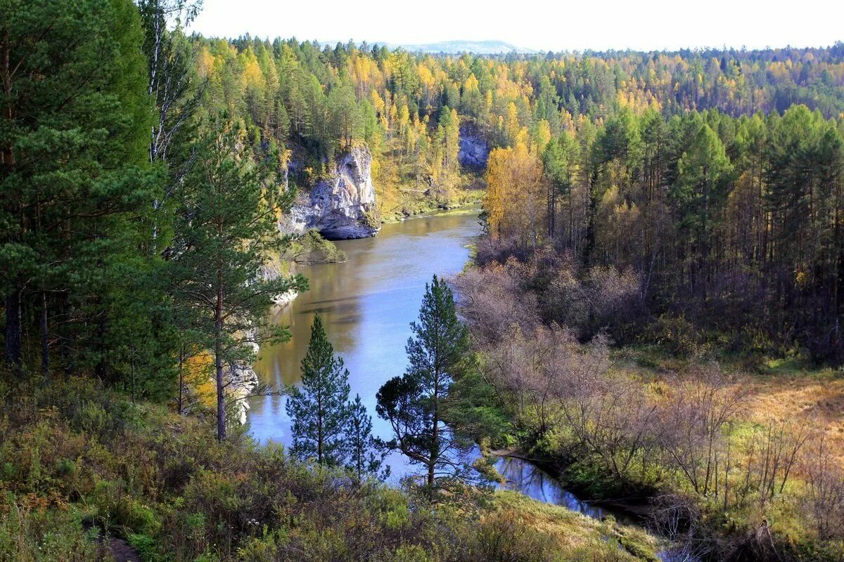 Какая природа в свердловской области