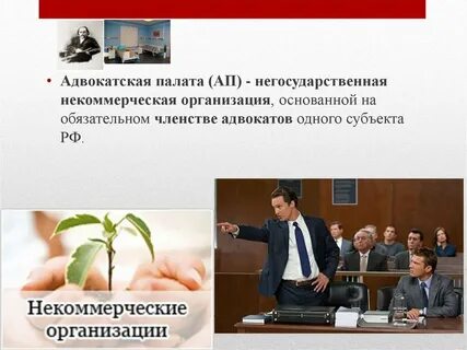 Некоммерческая адвокатская организация
