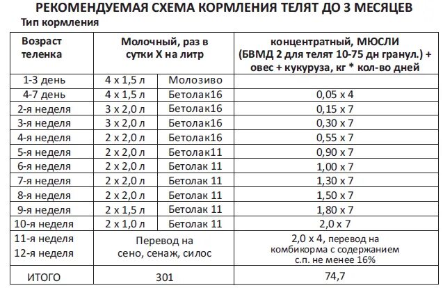 Сколько раз поить теленка. Как разбавлять сухое молоко для телят. Схема кормления телят сухим молоком. Нормы ЗЦМ для телят. Как разводить сухое молоко для телят.