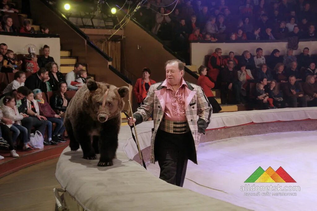 Цирковые слоны. Мы ходили в цирк. На арене цирка. Дрессированные слоны. Слон в цирке.