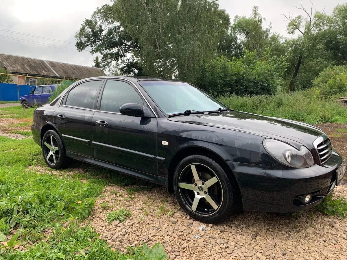 диски хендай соната тагаз. Hyundai sonata ef черная r17. диски хендай соната тагаз. Hyundai sonata ef r17. диски хендай соната тагаз.