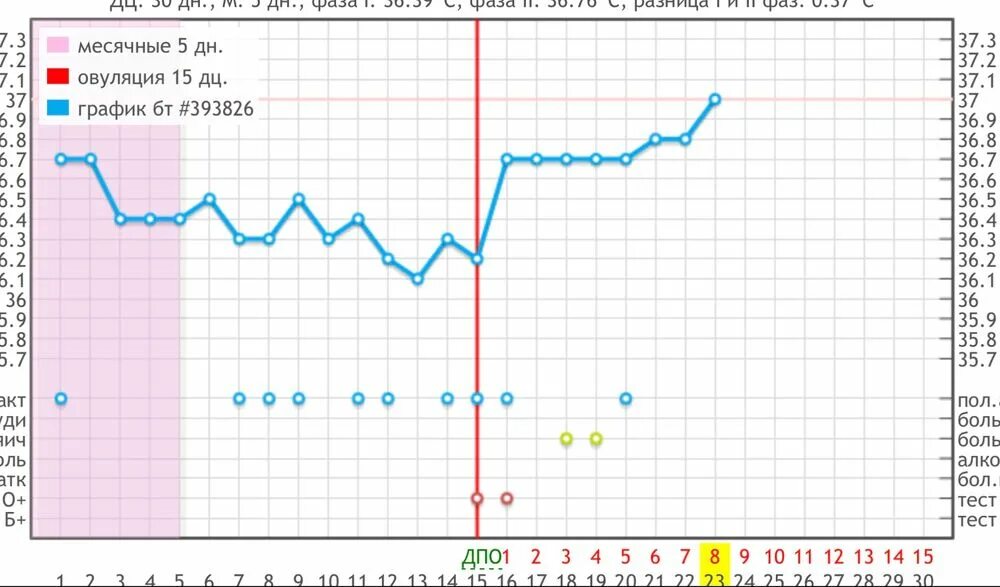 Базальная температура после овуляции 36.6. Имплантационное западение на графике БТ на 8 ДПО. Базальная температура на 8 ДПО. БТ после овуляции 36.8. 36 8 s