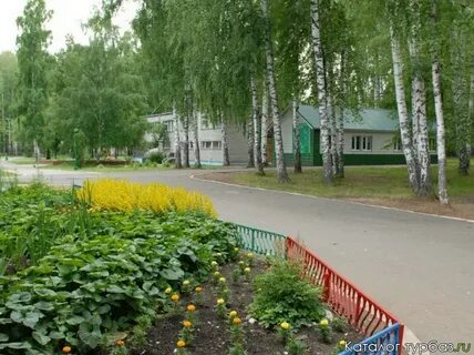 Дол березовая роща