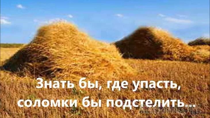 Знать бы где упасть соломки. Знать бы где соломку подстелить. знал бы где упасть соломки бы подстелил. подстелить соломку. знать где соломку подстелить.