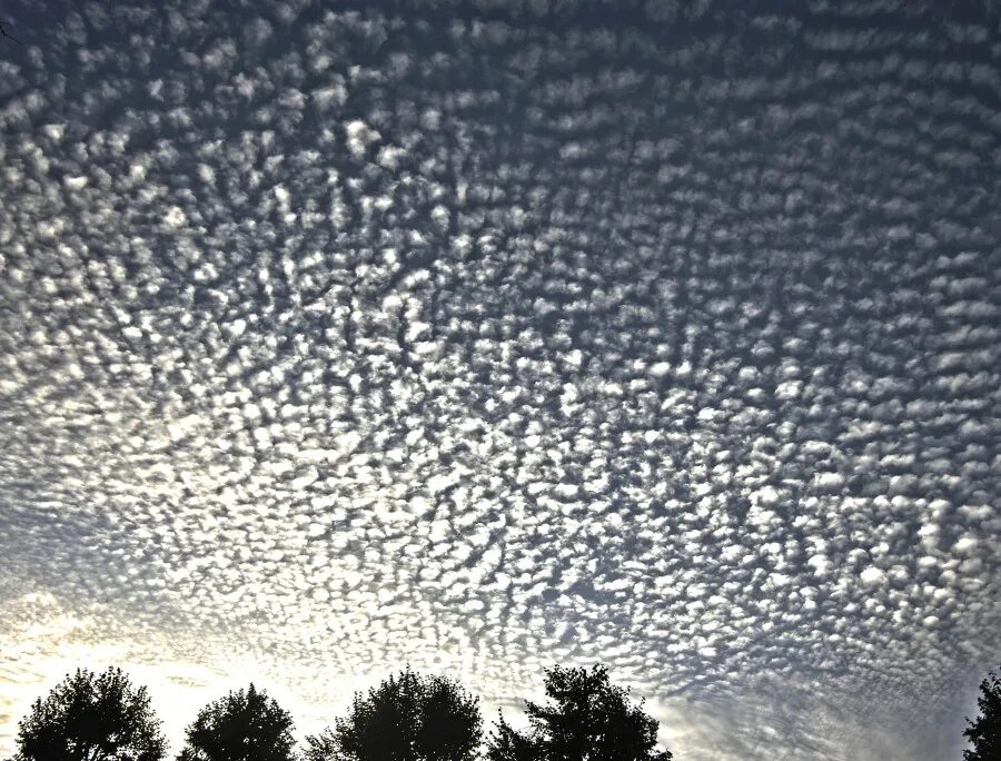 следы в пустыне. на небе есть тысячи мест. лестница в небо. на небе есть тысячи мест. необычное небо.