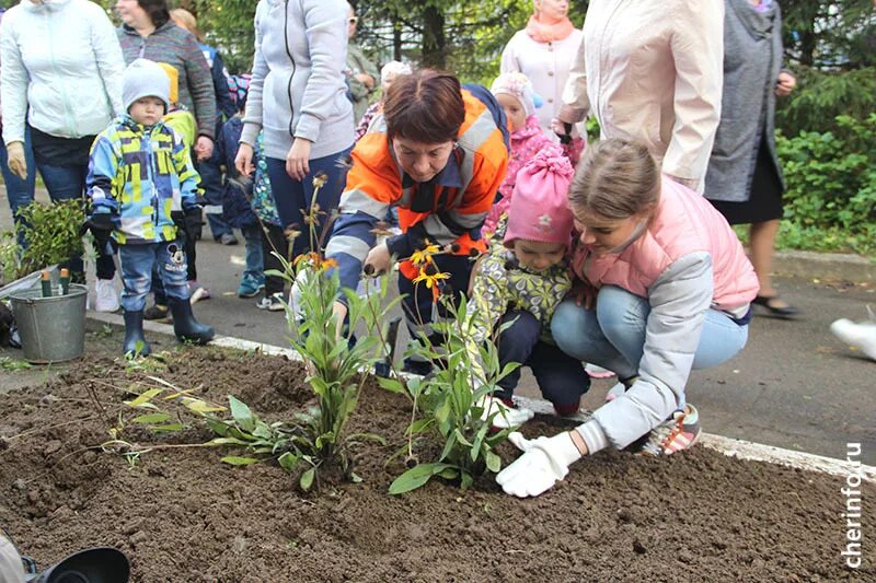 В школе посадили цветы. Пришкольный участок в школе. В школе посадили цветы. Дети сажают цветы. Дети на пришкольном участке.