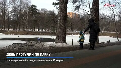 День прогулок в парке